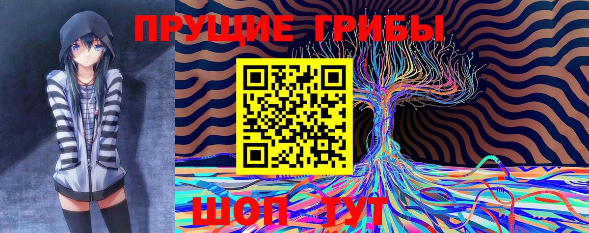 Галлюциногенные грибы Psilocybine cubensis  Вход с VPN  Псилоцибиновые грибы Psilocybine cubensis  Муравленко 